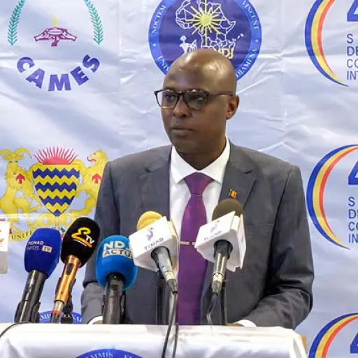 Le Professeur Mahamat Saleh Daoussa Haggar, Professeur Titulaire